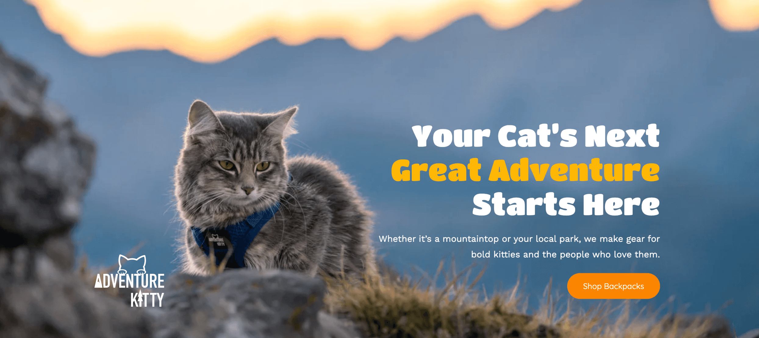 Adventure Kitty second image