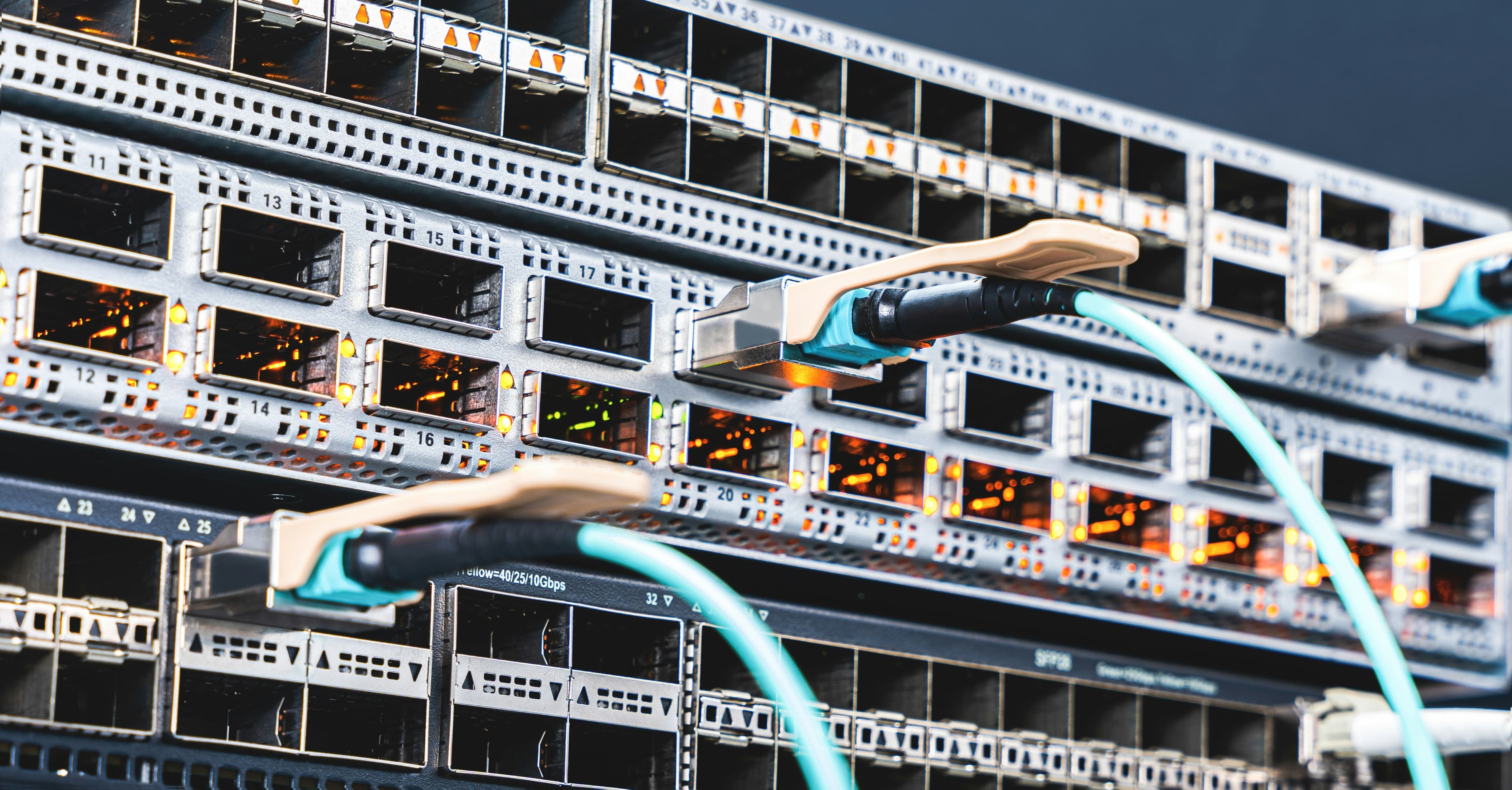 Web Hosting